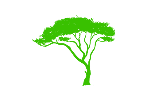 Afrik Abitat savannah tree